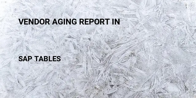 Vendor aging report in Table in SAP