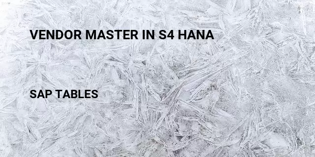 Vendor master in s4 hana Table in SAP