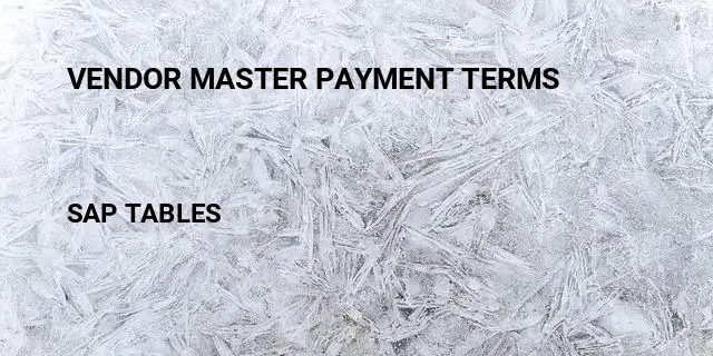 Vendor master payment terms Table in SAP