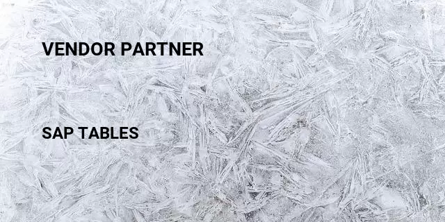 Vendor partner Table in SAP
