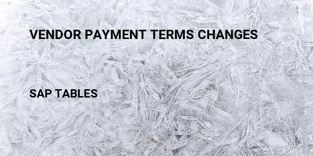 Vendor payment terms changes Table in SAP
