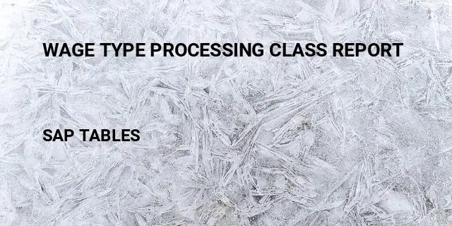 Wage type processing class report Table in SAP