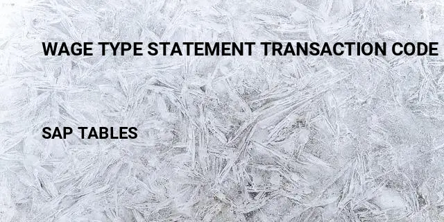 Wage type statement transaction code Table in SAP