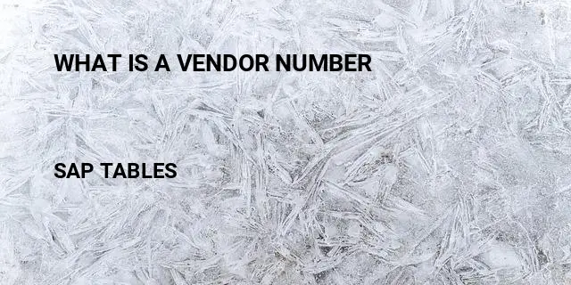 What is a vendor number Table in SAP