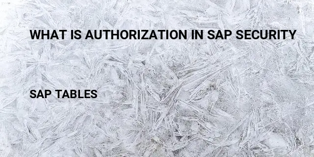 What is authorization in sap security Table in SAP