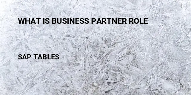 What is business partner role Table in SAP