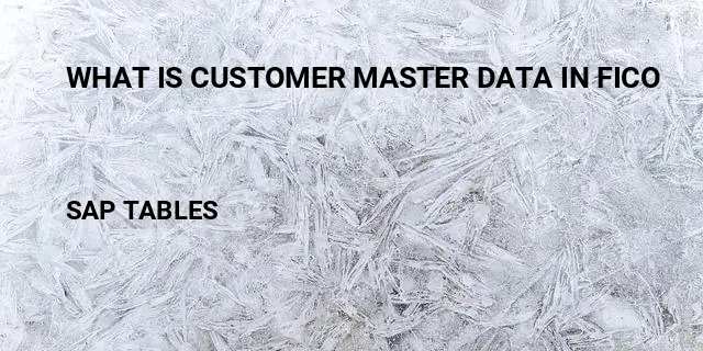 What is customer master data in fico Table in SAP