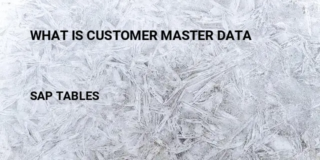 What is customer master data Table in SAP