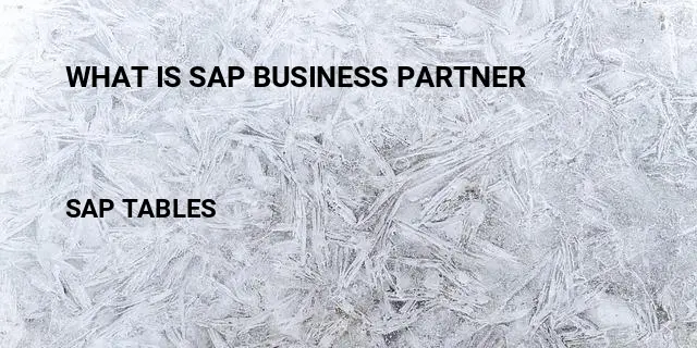 What is sap business partner Table in SAP