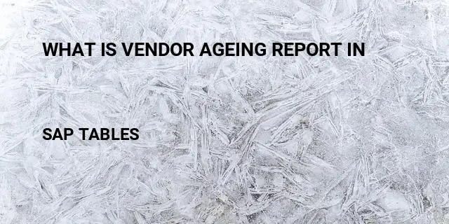 What is vendor ageing report in Table in SAP