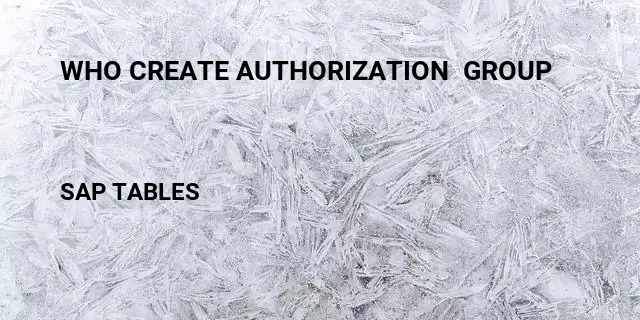 Who create authorization  group Table in SAP