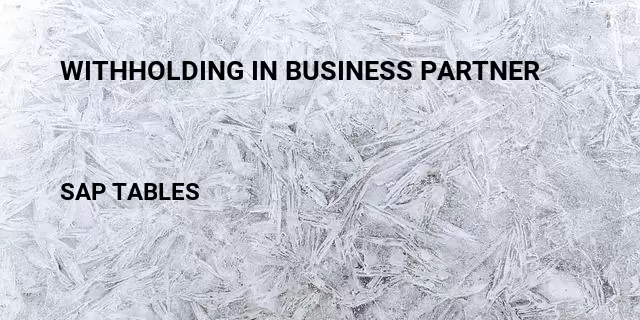 Withholding in business partner Table in SAP