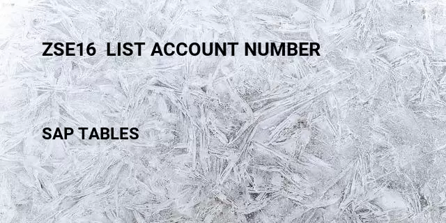 Zse16  list account number Table in SAP