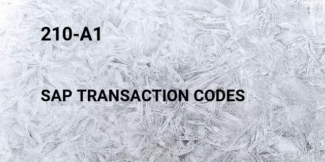 210-a1 Tcode in SAP