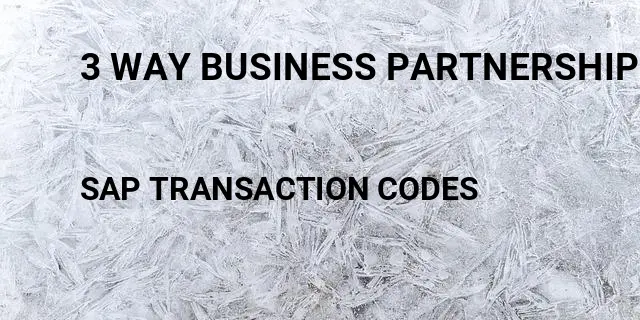 3 way business partnership Tcode in SAP