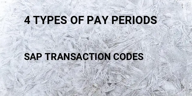 4 types of pay periods Tcode in SAP