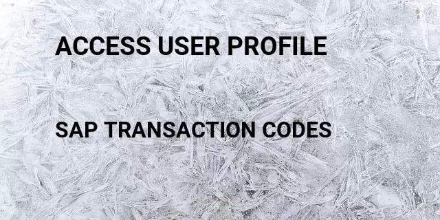 Access user profile Tcode in SAP