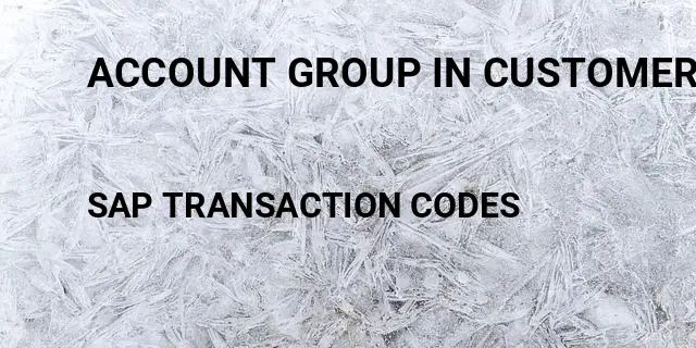 Account group in customer master Tcode in SAP