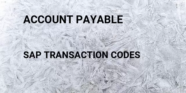 Account payable Tcode in SAP