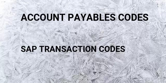 Account payables codes Tcode in SAP