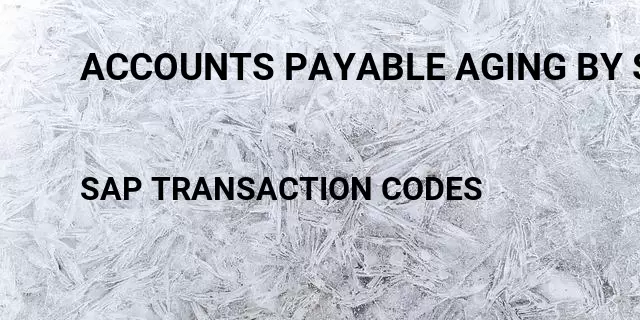 Accounts payable aging by segmentlocal currency Tcode in SAP
