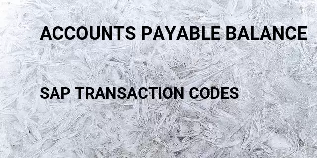 Accounts payable balance Tcode in SAP