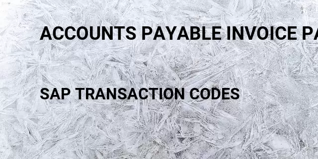 Accounts payable invoice payment Tcode in SAP