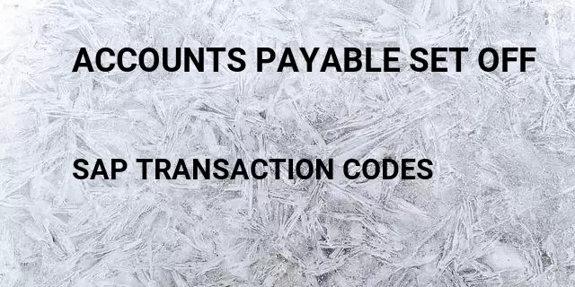 Accounts payable set off Tcode in SAP