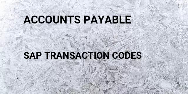 Accounts payable Tcode in SAP