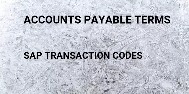 Accounts payable terms Tcode in SAP