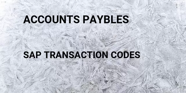 Accounts paybles Tcode in SAP