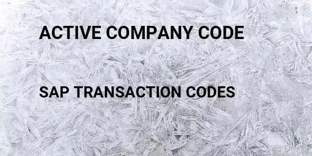 Active company code Tcode in SAP