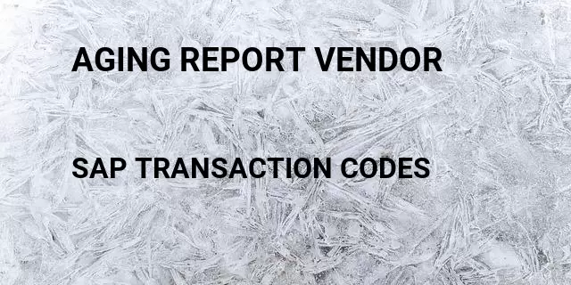 Aging report vendor Tcode in SAP