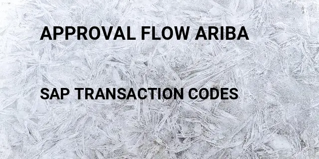 Approval flow ariba Tcode in SAP