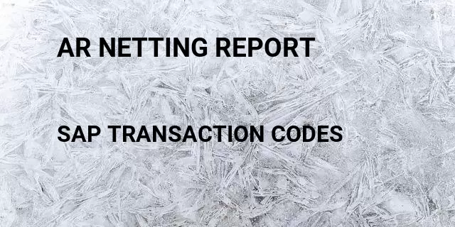 Ar netting report Tcode in SAP