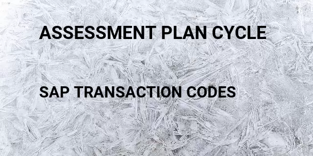 Assessment plan cycle Tcode in SAP