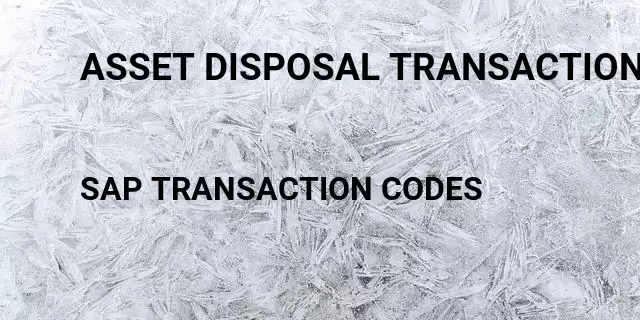 Asset disposal transaction Tcode in SAP