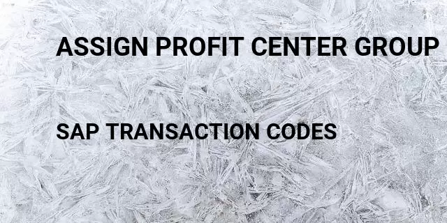 Assign profit center group Tcode in SAP