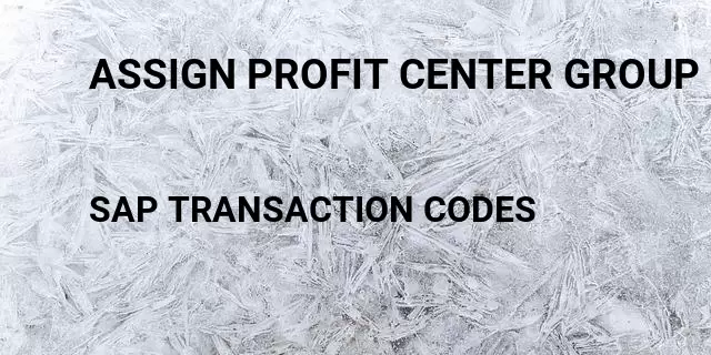 Assign profit center group to controlling area Tcode in SAP