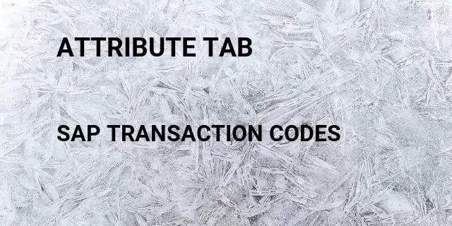 Attribute tab Tcode in SAP