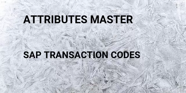 Attributes master Tcode in SAP