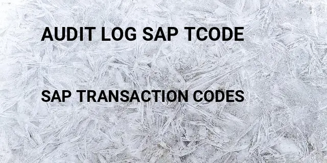 Audit log sap tcode Tcode in SAP