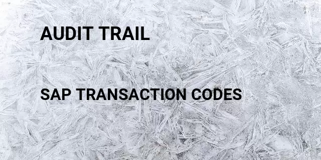 Audit trail Tcode in SAP
