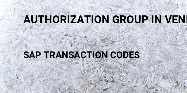 Authorization group in vendor master sap Tcode in SAP