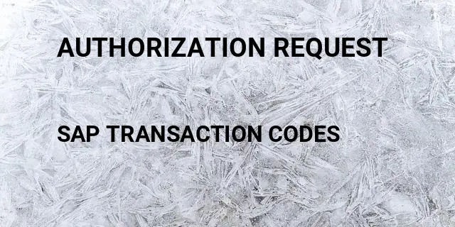 Authorization request Tcode in SAP