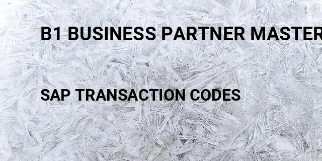 B1 business partner master data Tcode in SAP