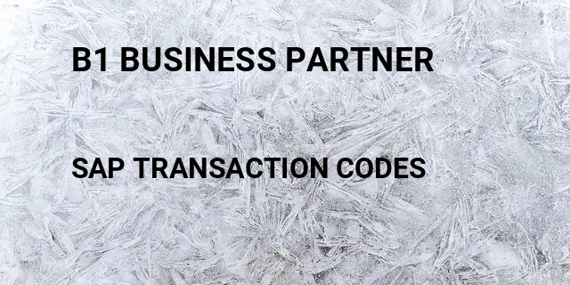 B1 business partner Tcode in SAP