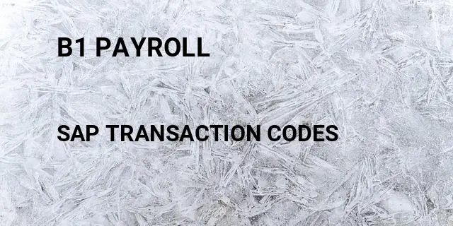 B1 payroll Tcode in SAP