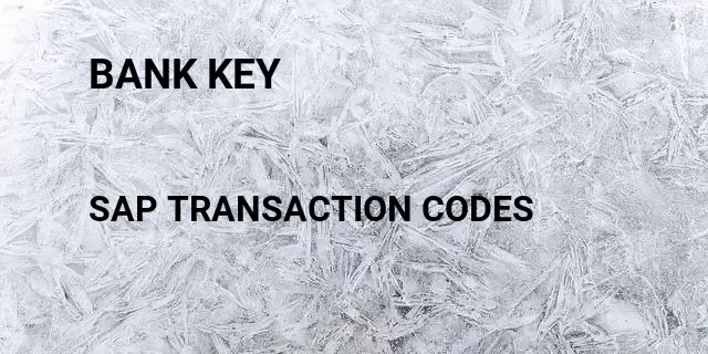 Bank key Tcode in SAP