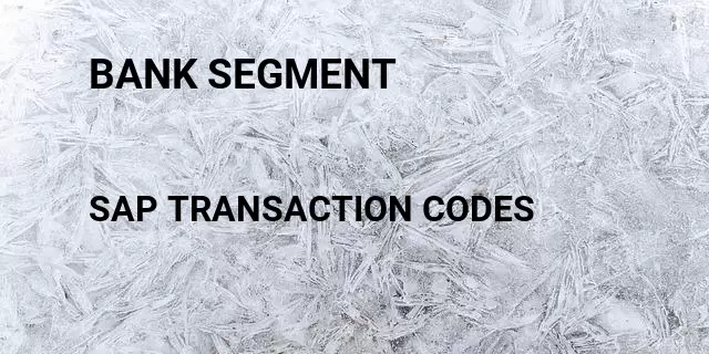 Bank segment Tcode in SAP